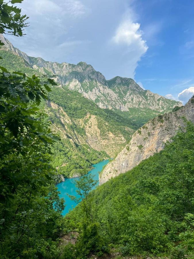 Hotel Neomalsore Agrotourism, Komani Lake Exterior foto
